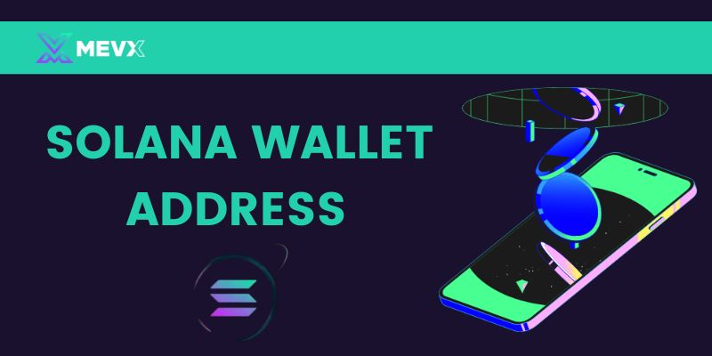 What is solana wallet address in paidwork app