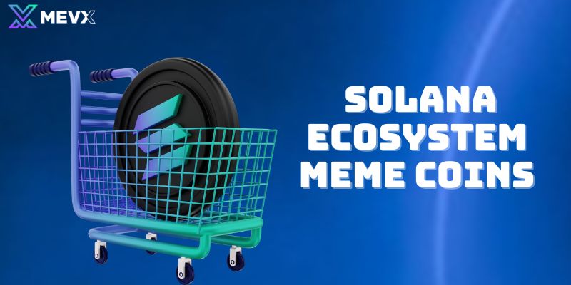  Solana Ecosystem Meme Coins