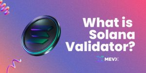 What is Solana Validator