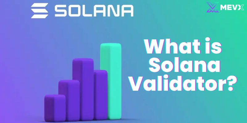 What is Solana Validator