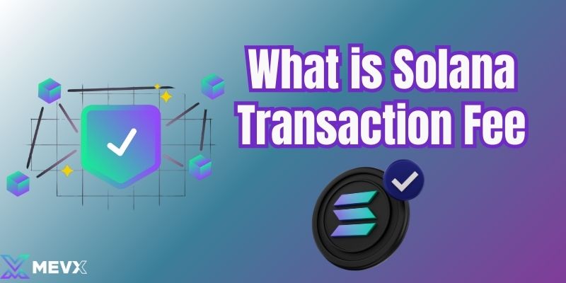 What is Solana Transaction Fee