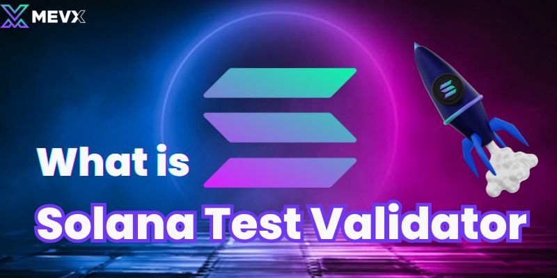 What is Solana Test Validator