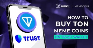 How to Buy TON Meme Coins