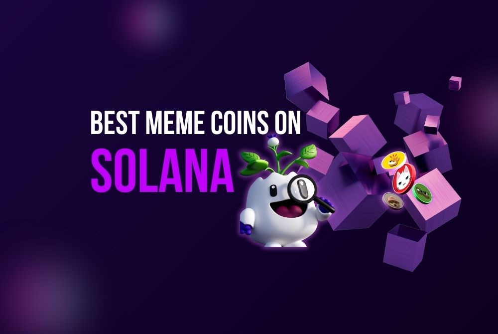 best meme coins on solana