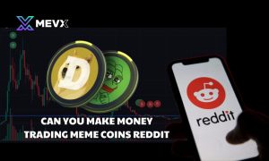 Can you make money trading meme coins Reddit?