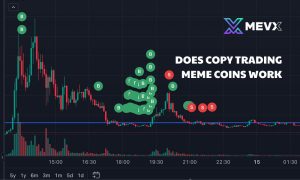 Does copy trading meme coins work