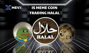 Is meme coin trading halal?