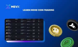 Learn meme coin trading