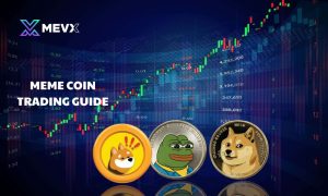 Meme coin trading guide
