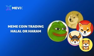 Meme coin trading Halal or Haram
