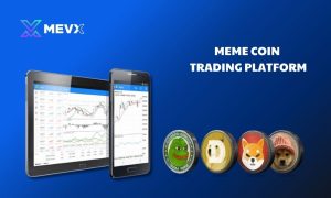 Meme coin trading platform