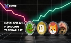 How long will meme coin trading last