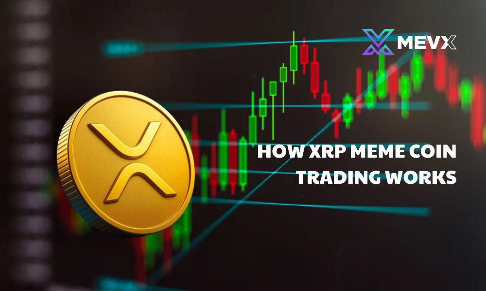 How XRP Meme Coin Trading Works