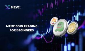 Meme coin trading for beginners