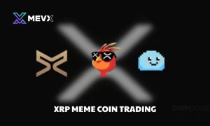 XRP meme coin trading